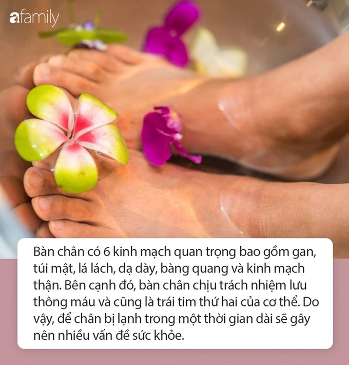 Cảm cúm hay ớn lạnh sẽ không còn là vấn đề đáng sợ nếu biết cách bảo vệ “trái tim thứ hai” của cơ thể, ai thể trạng yếu cần đọc ngay - Ảnh 2. Cảm cúm hay ớn lạnh sẽ không còn là vấn đề đáng sợ nếu biết cách bảo vệ “trái tim thứ hai” của cơ thể, ai thể trạng yếu cần đọc ngay - Ảnh 2.