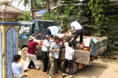 “Tai xanh” chưa qua, sâu bệnh đã tới