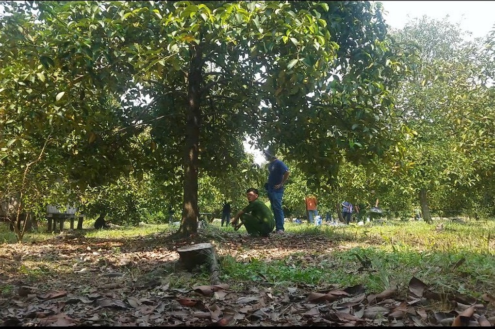 Thi thể người phụ nữ trong vườn trái cây ở TPHCM - 1 Thi thể người phụ nữ trong vườn trái cây ở TPHCM - 1