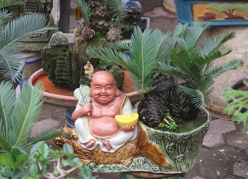 Chán mai, ngán đào, nhiều thượng đế săn lùng mua vạn tuế bonsai chơi Tết - 1 Chán mai, ngán đào, nhiều thượng đế săn lùng mua vạn tuế bonsai chơi Tết - 1