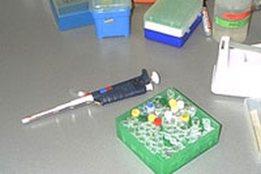 Mỹ sẽ thành lập ngân hàng ADN