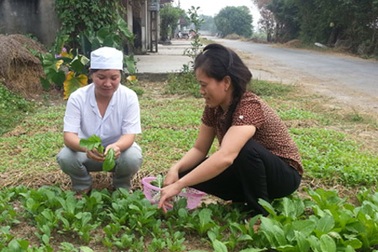 Tỉ lệ suy dinh dưỡng giảm bền vững tại nhiều tỉnh thành