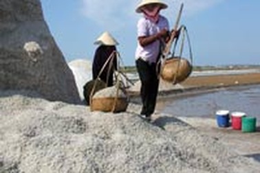 Muối rớt giá, diêm dân lại lao đao