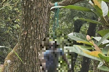 Truy tìm tung tích nam giới chết trong tư thế treo cổ ở Tam Đảo