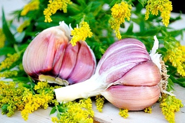 Làm gì để hạn chế dùng kháng sinh?