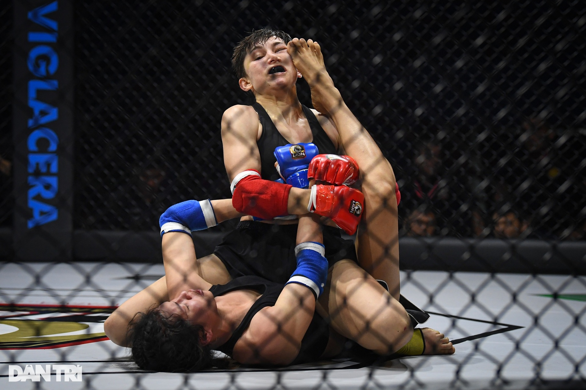 Bóng hồng Hungary hạ knock-out võ sĩ Việt Nam trong ngày khai màn MMA 2023 - 10 Bóng hồng Hungary hạ knock-out võ sĩ Việt Nam trong ngày khai màn MMA 2023 - 10