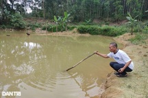 Những vụ đuối nước thương tâm ở trẻ em và hiểm họa từ ao nhà