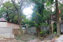 Chuyển trả dân 5,3 tỷ đồng tiền bán một nhánh của “cây sưa trăm tỷ”