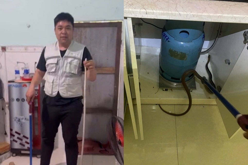 Vụ ông lão cụt tay kẹp rắn: Người trong nghề nói trường hợp “lạ” - 3 Vụ ông lão cụt tay kẹp rắn: Người trong nghề nói trường hợp “lạ” - 3