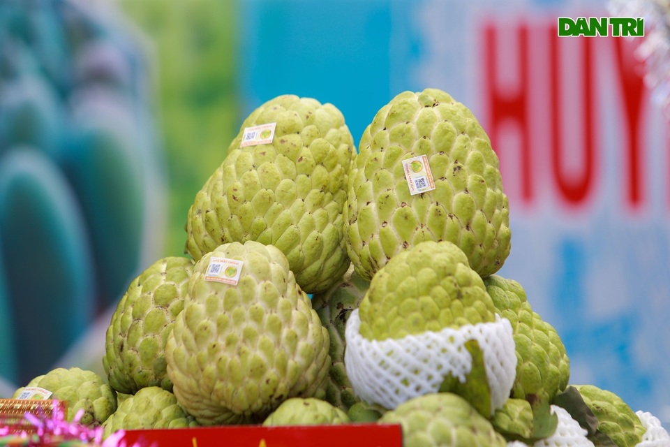 Đặc sản na khổng lồ Sơn La hút khách ở Hà Nội - 5 Đặc sản na khổng lồ Sơn La hút khách ở Hà Nội - 5