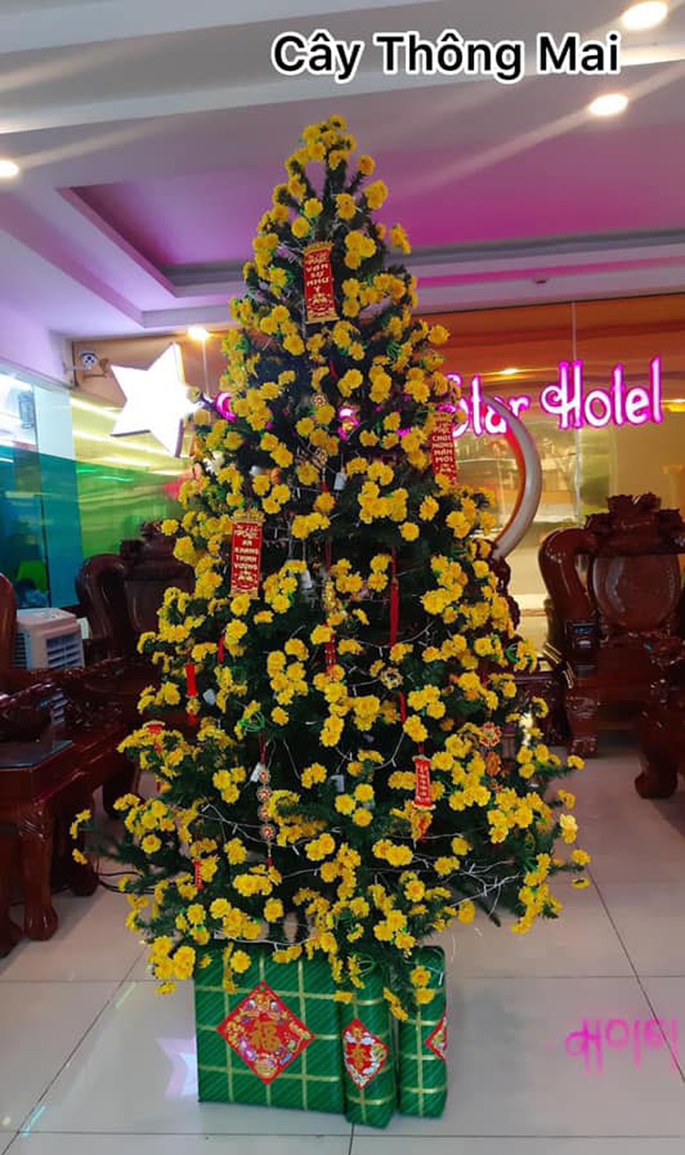 Cười bò với siêu phẩm hoa, cây cảnh Tết có một không hai thời Covid-19 - 1 Cười bò với siêu phẩm hoa, cây cảnh Tết có một không hai thời Covid-19 - 1