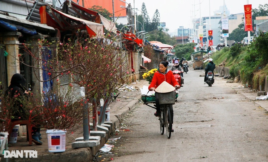 Check-in Hà Nội: Đi đâu để có ảnh Tết Dương lịch ngàn like - 5