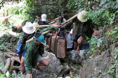 Dừng khai thác, cấm mua bán gỗ rừng tự nhiên