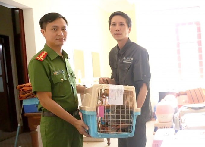 Công an tỉnh Gia Lai đã phối hợp với Trung tâm cứu hộ, bảo tồn và phát triển sinh vật Vườn Quốc gia Cúc Phương bàn giao 32 cá thể động vật rừng quý hiếm để chăm sóc, thả về tự nhiên