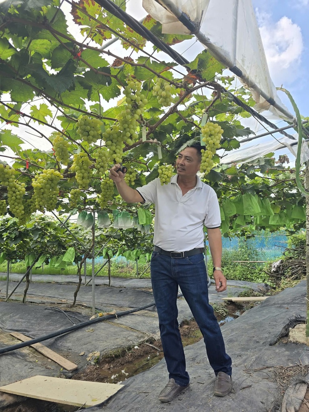 Xây dựng nông thôn mới: 15 năm mở đường cho giai đoạn phát triển mới - 1