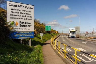 Phát hiện 14 người nhập cư trong xe đông lạnh ở Ireland, có 3 người Việt