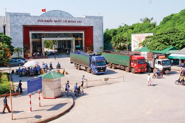 Trung Quốc "ra đòn", hàng Việt lao đao: Chưa lối thoát?