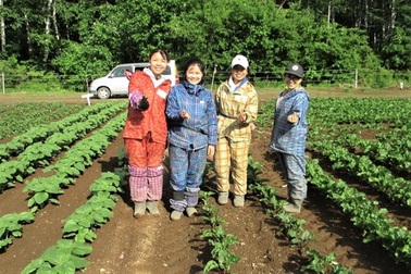Lao động Việt có nhiều lợi thế khi làm nông dân ở Nhật