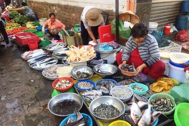 Sau bão, giá rau ở chợ “đội thêm” 5.000 đồng/kg, giá siêu thị không tăng