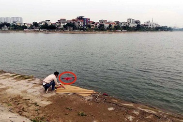 Hà Nội: Thi thể người đàn ông nổi trên hồ Định Công