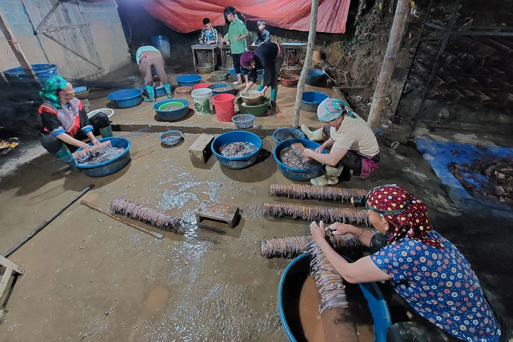 Lào Cai xử phạt 3 cơ sở thu mua, sơ chế giun đất - 1 Lào Cai xử phạt 3 cơ sở thu mua, sơ chế giun đất - 1
