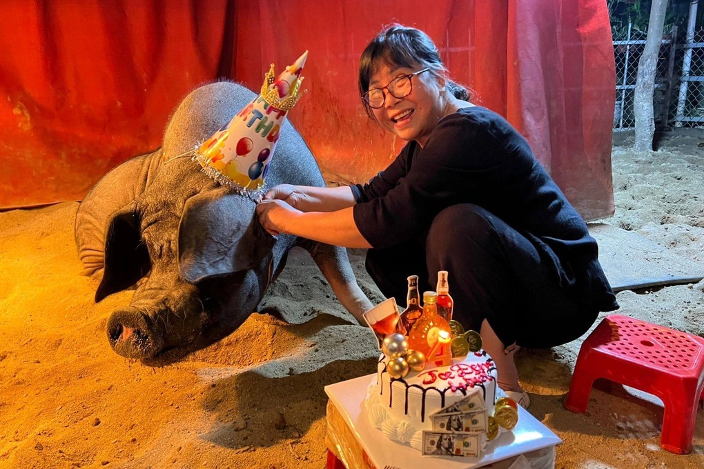 Nghệ sĩ Ánh Tuyết kể chuyện chăn lợn trong villa, 2 lần bị tai biến tuổi 64 - 2 Nghệ sĩ Ánh Tuyết kể chuyện chăn lợn trong villa, 2 lần bị tai biến tuổi 64 - 2