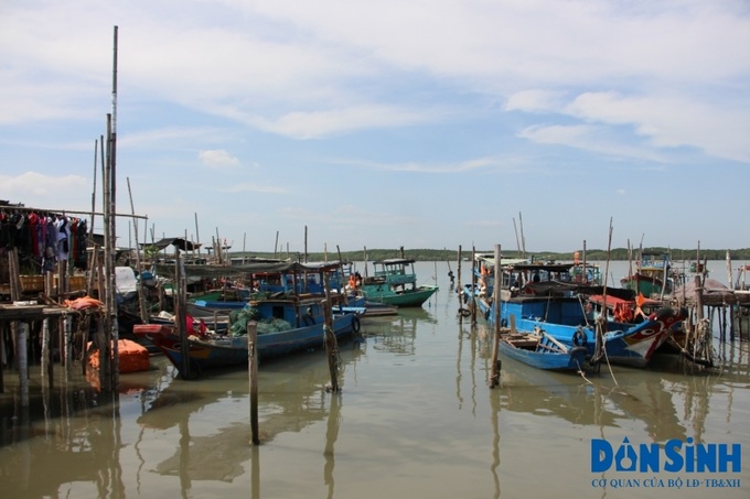 Tỉnh Cà Mau nghiêm cấm tàu cá chở khách du lịch.