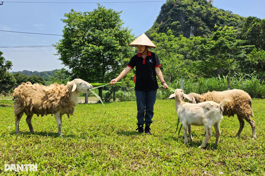 Biến vườn hoang thành điểm check in vạn người mê, 9X thu nửa tỷ đồng - 4 Biến vườn hoang thành điểm check in vạn người mê, 9X thu nửa tỷ đồng - 4