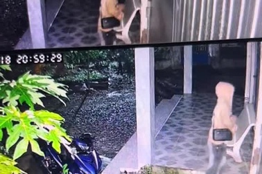 Xem lại camera, cô gái chết lặng thấy cảnh rắn lục đuôi đỏ nằm dưới chân