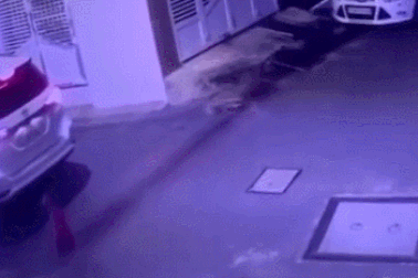 Nổi bật tuần qua: Tài xế lùi bất cẩn, "nuốt chửng" em bé vào gầm xe