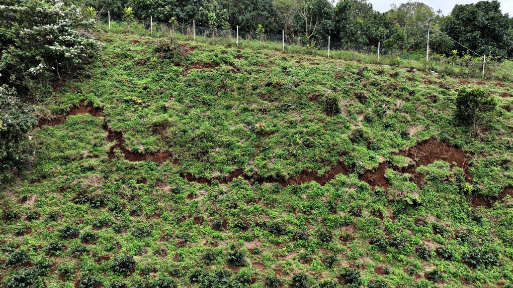 Xuất hiện vết nứt dài 700m trên đồi Trảng Bằng ở Lâm Đồng - 1