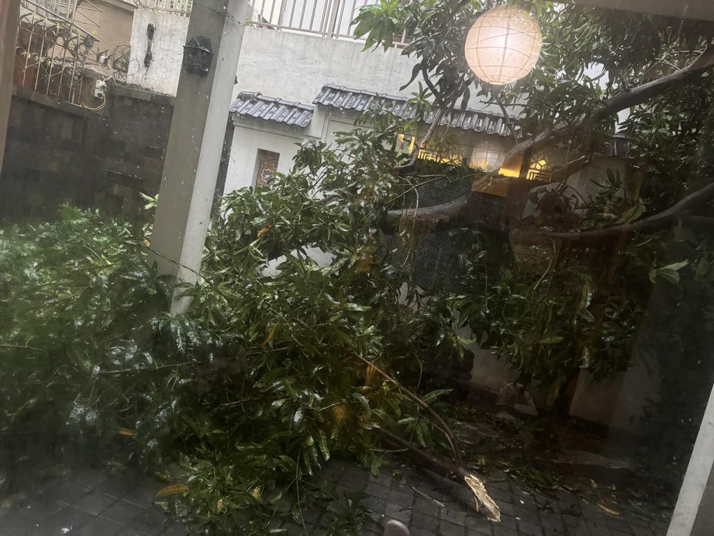 Quốc Trung oằn mình giữ cửa kính, đồi nhà Việt Hoàn tan nát vì bão Yagi - 3 Quốc Trung oằn mình giữ cửa kính, đồi nhà Việt Hoàn tan nát vì bão Yagi - 3