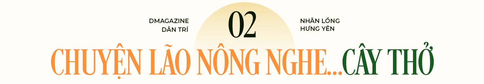 Quyết giữ “lộc phẩm tiến vua”, lão nông thu loại nhãn đắt gấp 10 lần - 11 Quyết giữ “lộc phẩm tiến vua”, lão nông thu loại nhãn đắt gấp 10 lần - 11