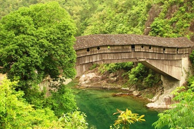 Vẻ đẹp cổ kính của cây cầu gỗ 1000 năm tuổi 