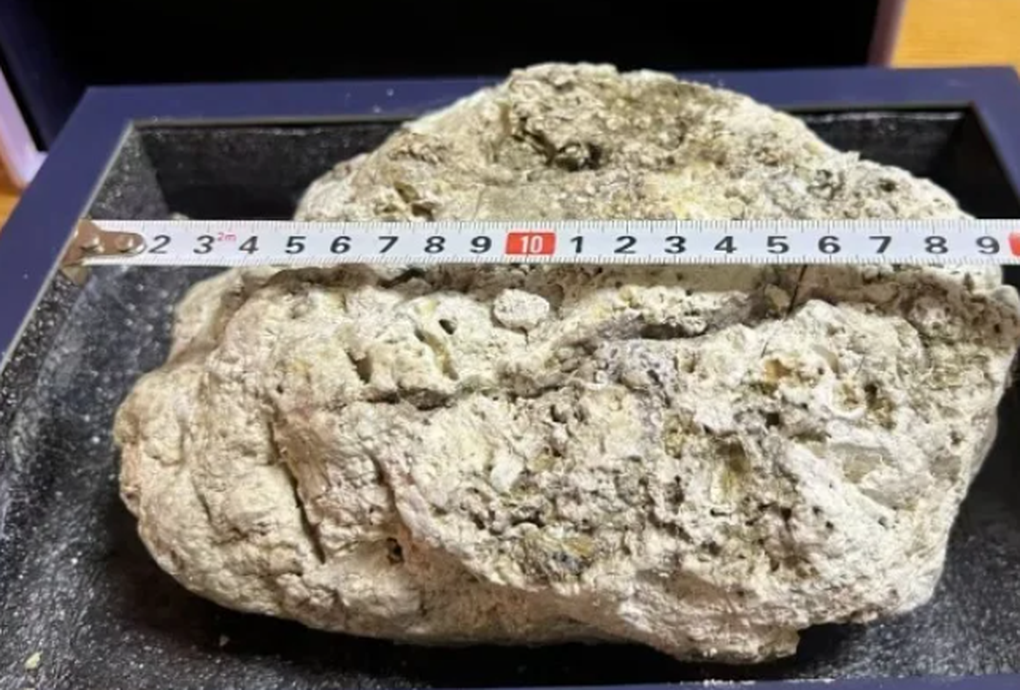 Nhặt được khối lạ khi đi tham quan, nghi vật quý giá hơn 27 tỷ đồng - 1 Nhặt được khối lạ khi đi tham quan, nghi vật quý giá hơn 27 tỷ đồng - 1