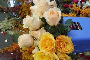 Hoa ngày Valentine: "Chết mê, chết mệt" với hồng Ecuador, Tulip Hà Lan