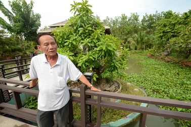  Cây cổ thụ nổi bồng bềnh trên nước