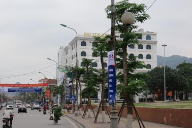 Quảng Ninh thu phí... dừng đỗ xe