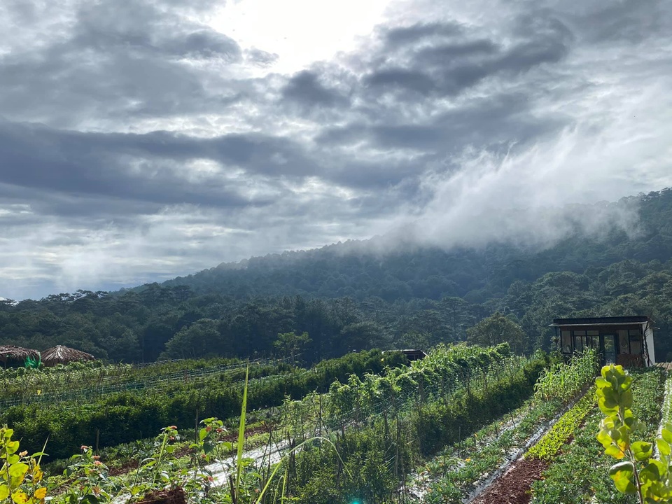 Cô gái xinh đẹp bỏ phố về ở “ẩn”: Sống không điện lưới, internet hạn chế - 1 Cô gái xinh đẹp bỏ phố về ở “ẩn”: Sống không điện lưới, internet hạn chế - 1