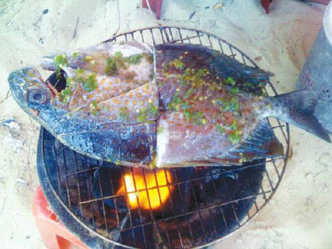 Dụng công săn loài cá tà ma mà giới nhà giàu săn lùng - 10