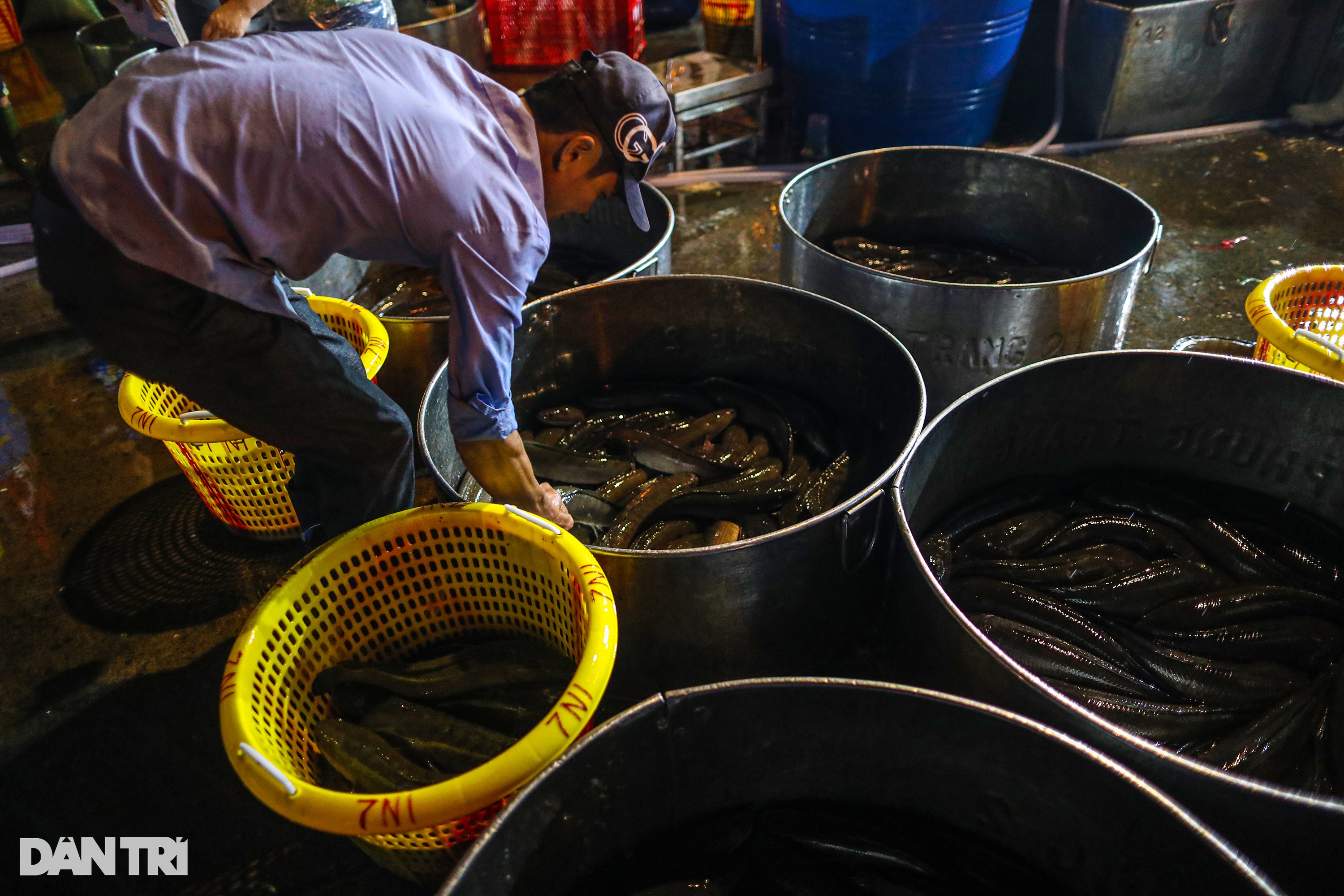 Chợ cá lóc lớn nhất TPHCM tất bật trước ngày vía Thần Tài - 6