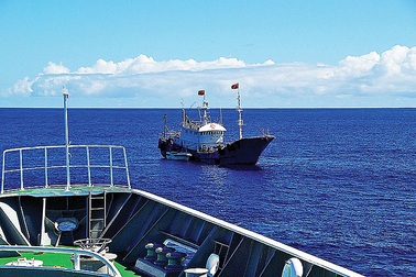 Nhật Bản xét xử thuyền trưởng Trung Quốc khai thác trái phép san hô