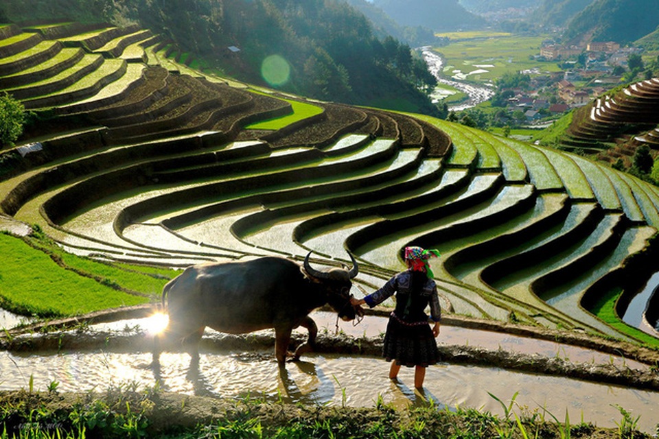 Ngắm ruộng bậc thang Mù Cang Chải đẹp lung linh mùa đổ nước - 2 Ngắm ruộng bậc thang Mù Cang Chải đẹp lung linh mùa đổ nước - 2