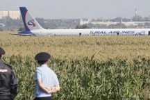 Đâm phải đàn chim, máy bay Nga chở 233 người lê bụng xuống ruộng ngô