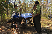 Một cán bộ kiểm lâm vườn quốc gia Yok Đôn bị bắn trọng thương