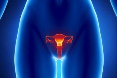 Thuốc hóa trị liệu có thể kích hoạt sản xuất trứng ở phụ nữ