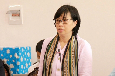 Bà Nguyễn Thị Thanh Lịch điều hành UBND tỉnh Gia Lai