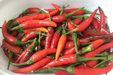 TPHCM: Giá ớt cay chạm "đỉnh" 150.000 đồng/kg, bà nội trợ… "bỏng tay"