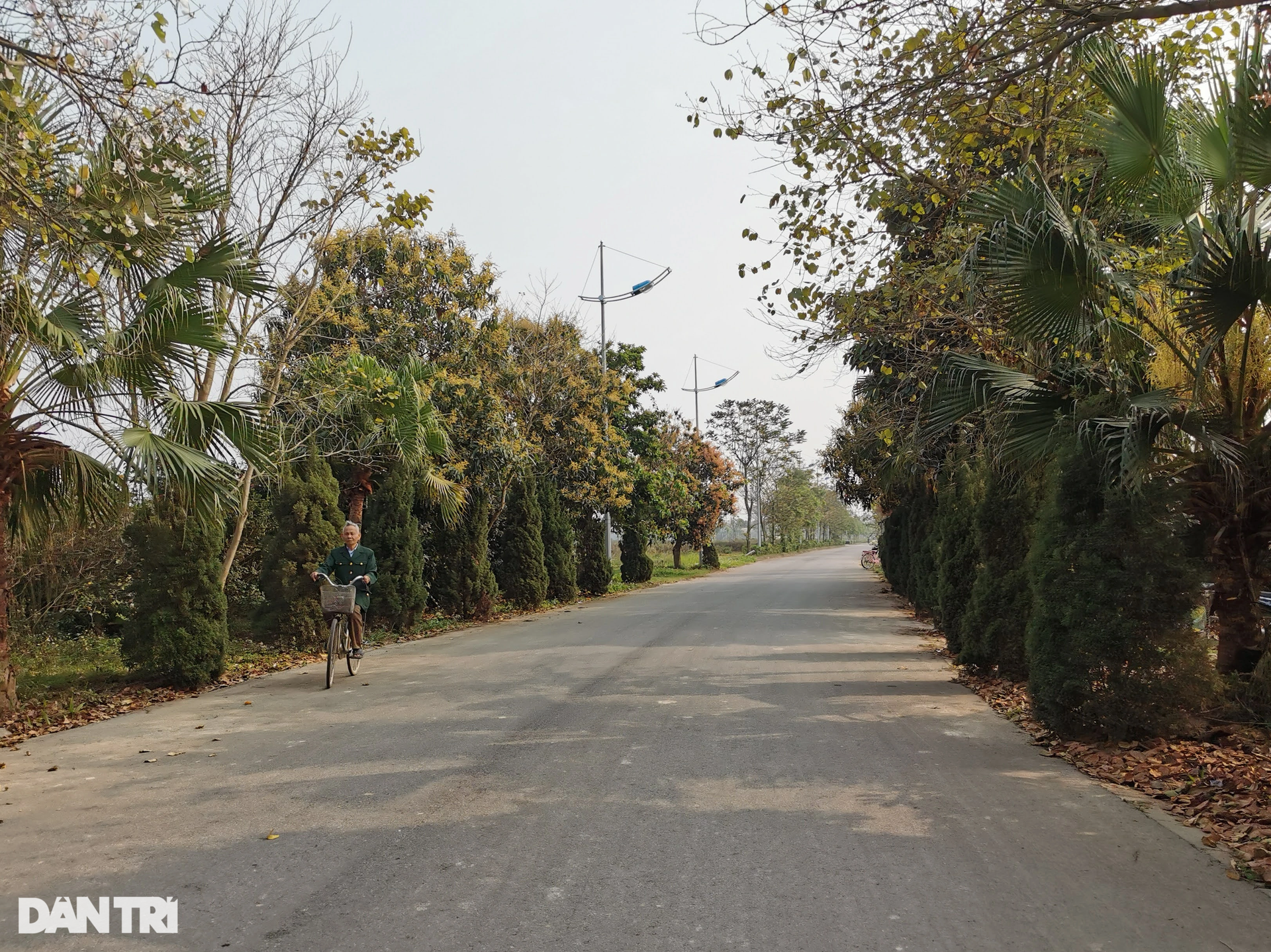 Dự án The Diamond Park Mê Linh bất động sau nhiều năm được thanh tra - 13 Dự án The Diamond Park Mê Linh bất động sau nhiều năm được thanh tra - 13