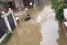 Thầy giáo bơi "tung tăng" trên con phố ngập như sông ở Thái Nguyên